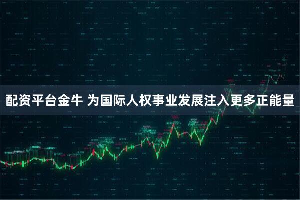 配资平台金牛 为国际人权事业发展注入更多正能量